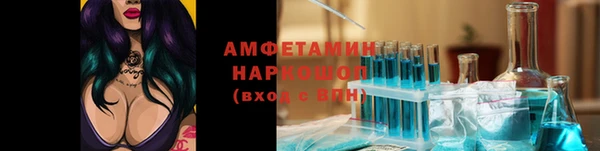 прущие грибы Абдулино
