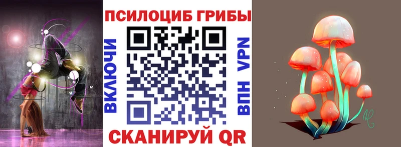Псилоцибиновые грибы Psilocybe  Якутск 
