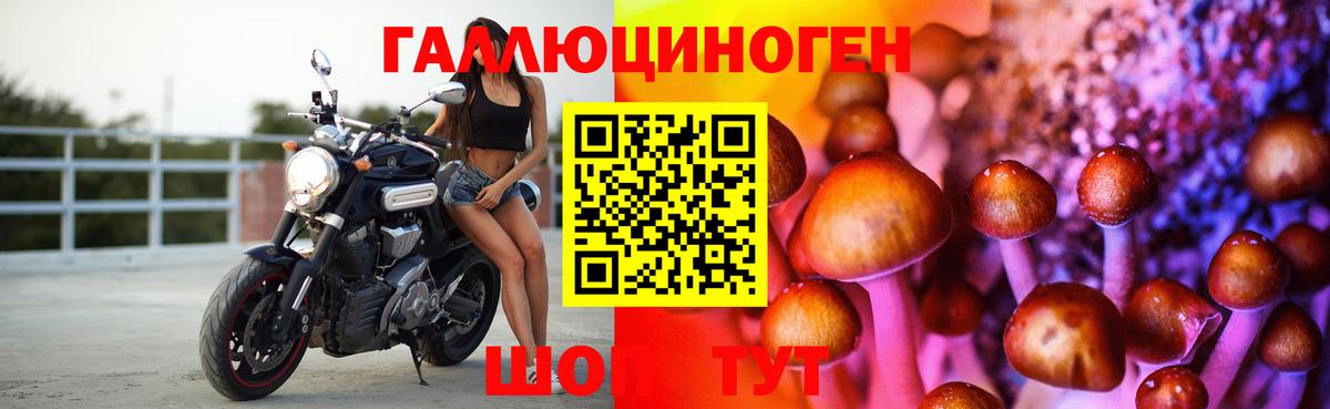 Галлюциногенные грибы MAGIC MUSHROOMS  Вход с VPN  Якутск 